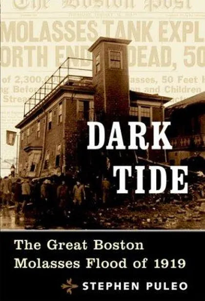 Cover of Dark Tide